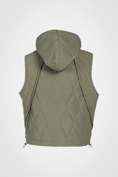 #color_olive-green