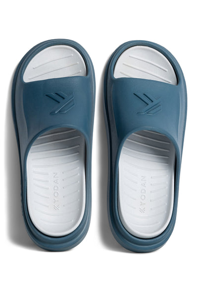 #color_legion-blue-grey|couleur_legion-bleu-gris