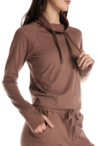 #color_brown-oyster
